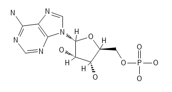 Generalized Nucleotide
